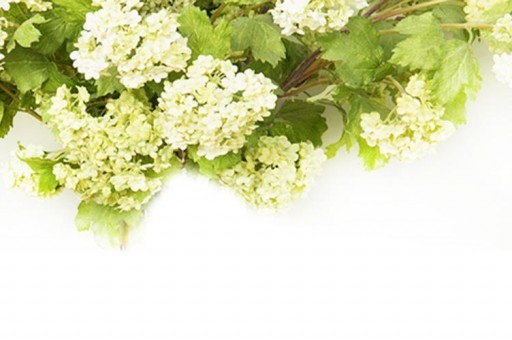 獅跑2.0是什么變速箱 獅跑變速箱圖片