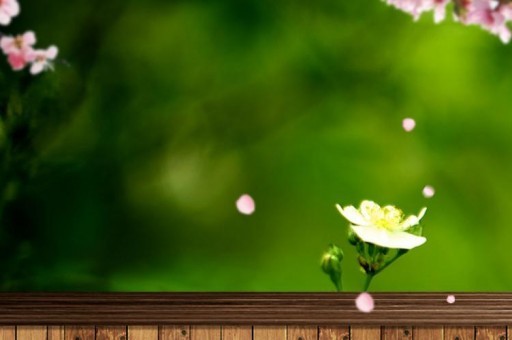 18年科魯茲現在多少錢 12年科魯茲現在能賣多少錢 18年科魯茲現在多少錢 12年科魯茲現在能賣多少錢