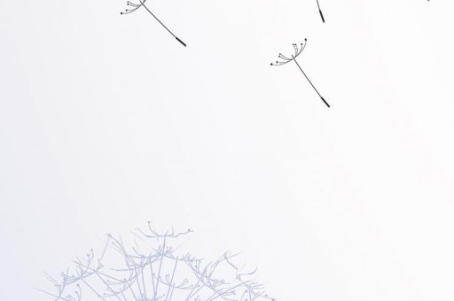 德州地區(qū)的區(qū)號（山東德州區(qū)號是多少號碼查詢）