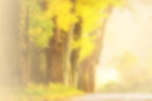 公休時間表(公休安排) 公休時間表(公休安排)