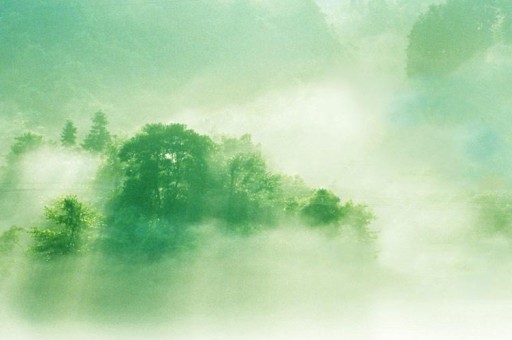 江西英雄聯(lián)盟游戲主播排名（江西英雄聯(lián)盟游戲主播排名前十）