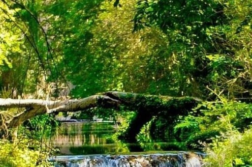 國內二本學校排名（國內的二本院校排名）