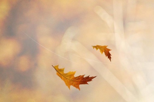 蘭州市居民投訴電話（蘭州市民熱線投訴電話）