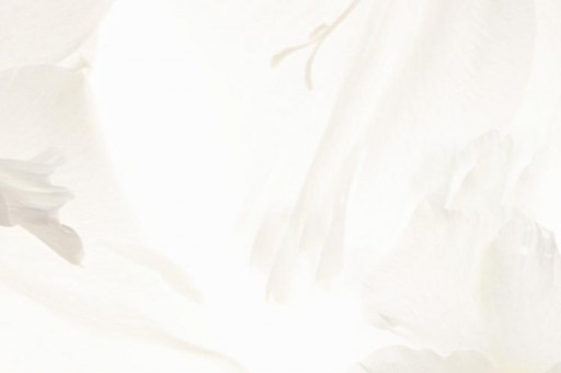 現(xiàn)代最可怕的十部電影排名（現(xiàn)代最可怕的十部電影排名榜）