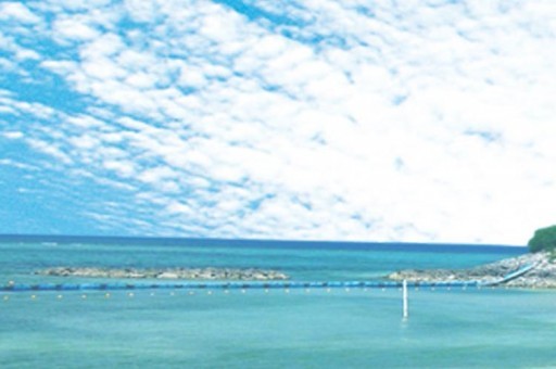 郵政快遞單號查詢跟蹤（香港郵政快遞單號查詢跟蹤）