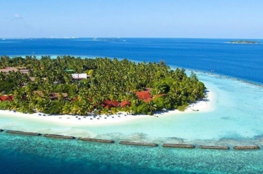 七個(gè)月嬰兒輔食時(shí)間表（七個(gè)月嬰兒輔食時(shí)間表圖片）