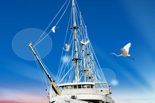 國外狙擊電影排名前十名（全球十大狙擊電影）