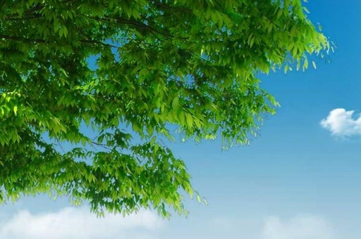 培訓彩妝學校排名（彩妝培訓學校排行榜）