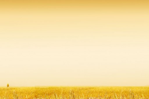 世界地質專業大學排名(世界地質學專業大學排名) 世界地質專業大學排名(世界地質學專業大學排名)