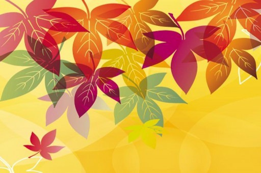 武漢武昌區(qū)區(qū)號(hào)（武漢武昌區(qū)區(qū)號(hào)多少）