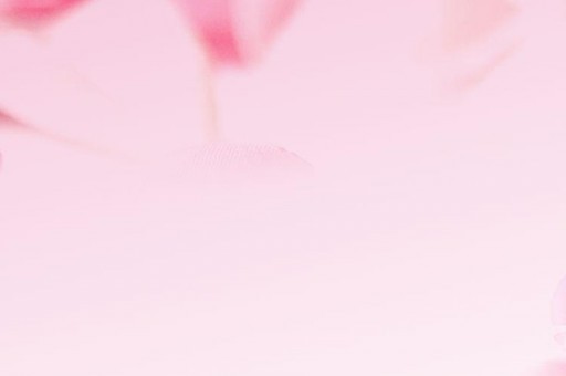 清河城區(qū)號(清河城區(qū)號是多少) 清河城區(qū)號(清河城區(qū)號是多少)