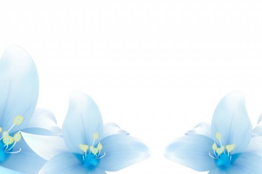 江蘇徐州的區(qū)號(hào)（江蘇徐州的區(qū)號(hào)查詢(xún)）