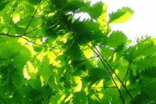 福州室內育兒園排名（福州哪些幼兒園有娃娃班）