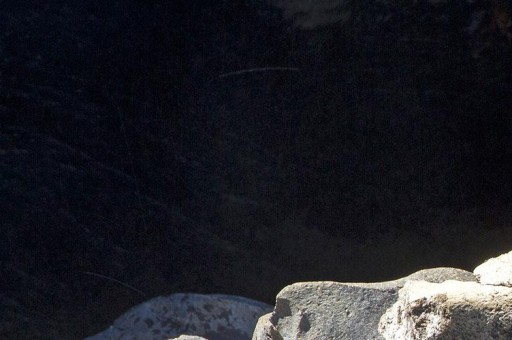 南通啟東的區(qū)號是什么（南通啟東幾個區(qū)）