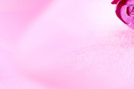 綜藝節(jié)目播出時(shí)間表（綜藝節(jié)目播放時(shí)間表）