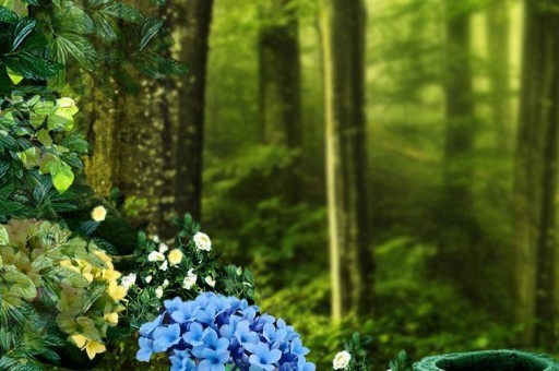 span是什么意思 span解釋