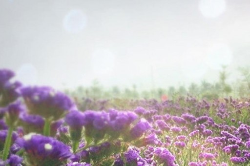 皕怎么讀 皕正確讀音 皕怎么讀 皕正確讀音