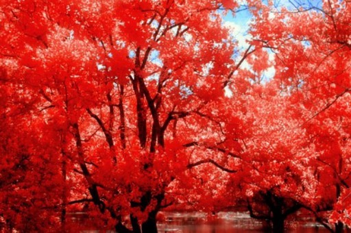 太原汽車外賣平臺排名前十名（太原哪里賣汽車）