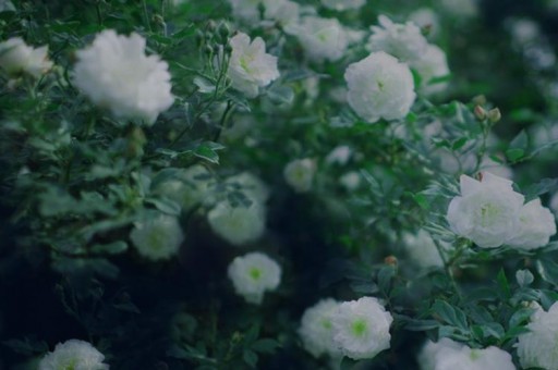 端服游戲排名榜前十名（十大端游平臺(tái)排行榜）