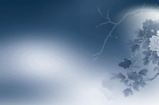 加格達(dá)奇區(qū)號(hào)（加格達(dá)奇區(qū)號(hào)是什么）