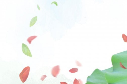 康城學校排名（康城實驗學校第幾梯隊）