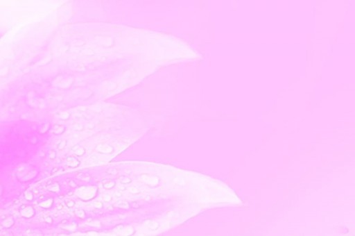 商務(wù)艙和公務(wù)艙的區(qū)別 商務(wù)艙和公務(wù)艙的區(qū)別有什么