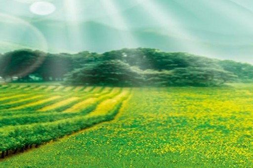 水產(chǎn)養(yǎng)殖學(xué)校排名（水產(chǎn)養(yǎng)殖專業(yè)大學(xué)排名）