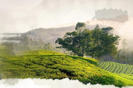 吳忠十大旅游景點排名（吳忠旅游必去景點）