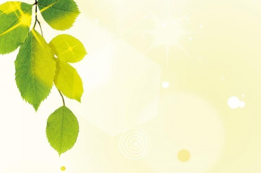 游戲奧特曼評測排名榜前十名（游戲奧特曼評測排名榜前十名是誰）