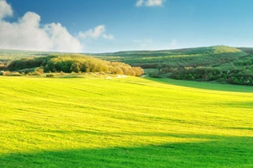 洪山區(qū)育兒園排名一覽表（武漢市洪山區(qū)有哪些幼兒園）