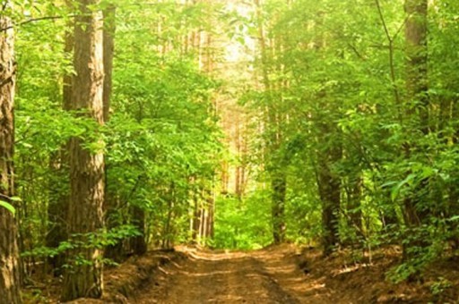 十大狂暴電影排名前十(狂暴電影里那個人抓到了嗎) 十大狂暴電影排名前十(狂暴電影里那個人抓到了嗎)