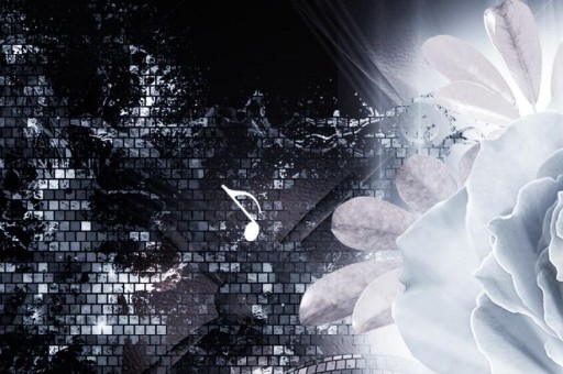 0830是四川哪里的區號（0818區號是四川哪里）