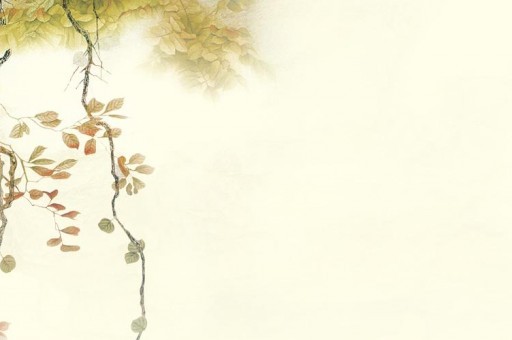 武漢區(qū)號（武漢區(qū)號12315怎么打）