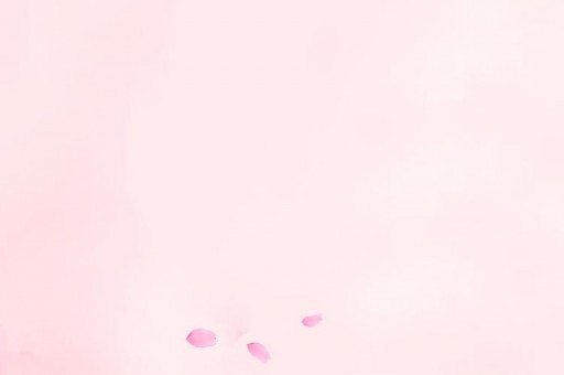 臺風今天最新消息剛剛（臺風今天最新消息剛剛2023杜蘇芮）