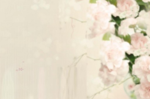 長沙汽車排名前十名（長沙產(chǎn)的汽車）