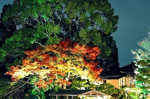 曹縣大小集市時間表（曹縣周邊大集）