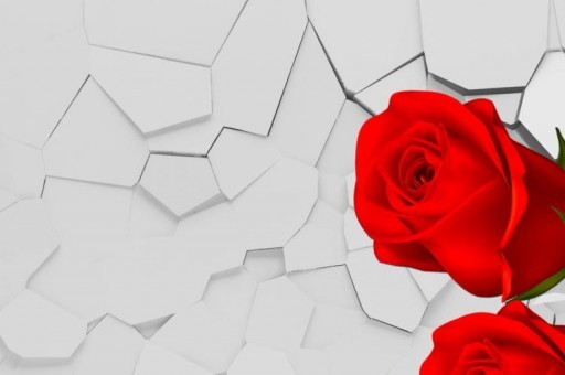 游戲主播的身價排名(游戲主播前十) 游戲主播的身價排名(游戲主播前十)