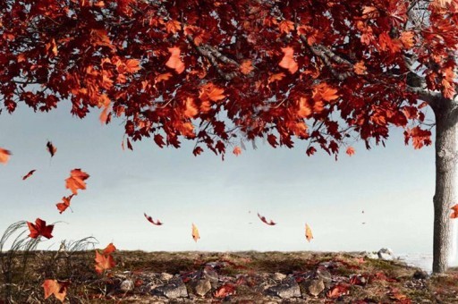 泰晤士美國大學排名(泰晤士美國大學排名完整版) 泰晤士美國大學排名(泰晤士美國大學排名完整版)