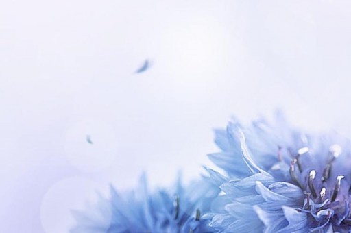 世界十大最臟的果蔬 蘋果農藥殘余總量最高 世界十大最臟的果蔬 蘋果農藥殘余總量最高