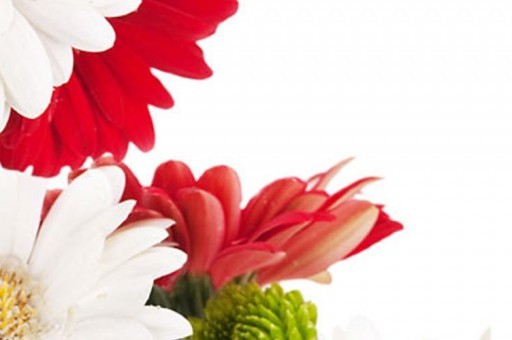 世界三大男高音：盧恰諾·帕瓦羅蒂被譽為“高音之王”