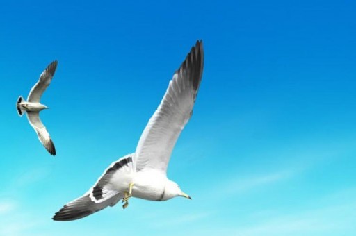 深圳前海智算中心開園，引領AI算力新浪潮，15000機柜助力產業變革