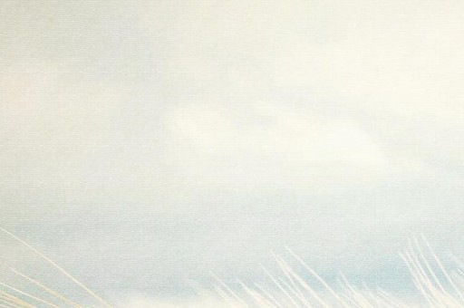 利物浦游戲主播排名（利物浦電競）