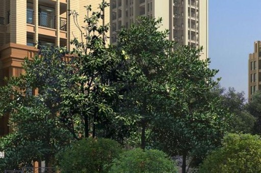 淮南高中學校名單及中考錄取分數線排行榜2024最新排名前十名對比