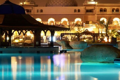 全球十大最瀕危的動物排行榜：白犀牛世界上僅剩一只