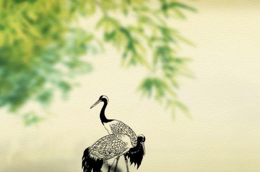 長春大學(xué)排名2024最新排名前十名對比