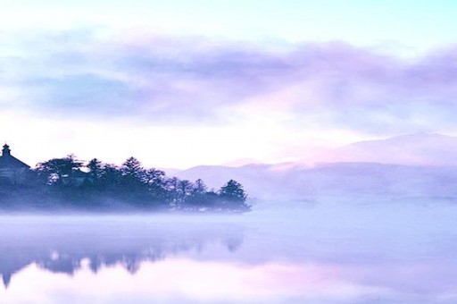 世界十大最危險(xiǎn)的花 天仙子一點(diǎn)能毒死一只動(dòng)物，遇見要小心