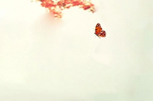 世界十大殺手組織：第二是殺手界的不敗神話