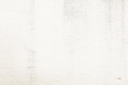 西南大學(榮昌校區)重點專業排名,招生優勢專業排行榜