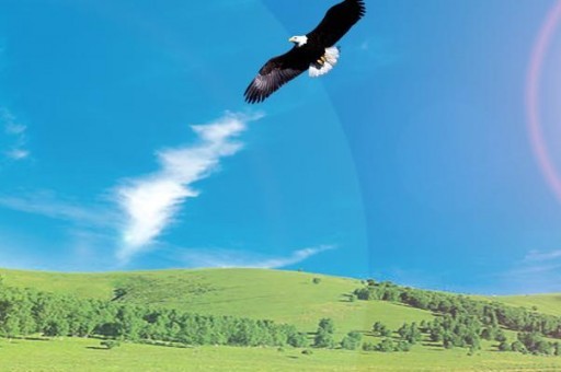 世界上最長的陰道：比姚明的身高還要長(長度達(dá)2.3米)