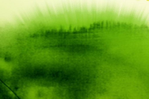 應屆畢業生就業薪水最高大學排行榜2024最新排名前十名對比